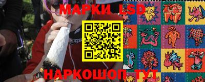 сатива Кинель