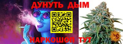 сатива Кинель