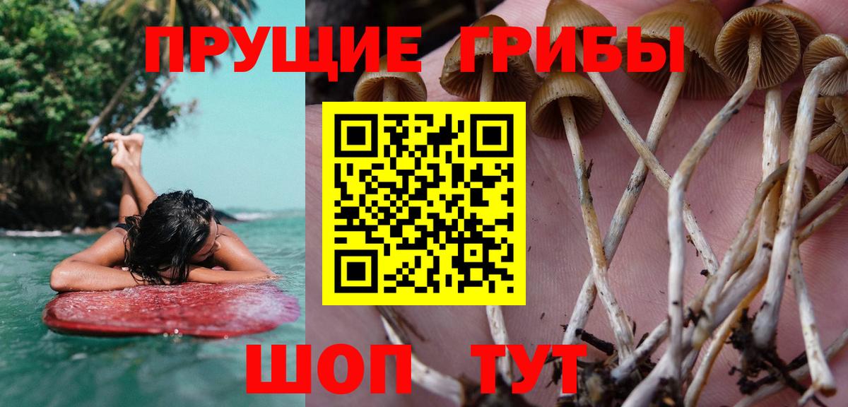 Псилоцибиновые грибы мухоморы Кирово-Чепецк